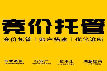 实战解析：SEM网络推广助力企业突破困境